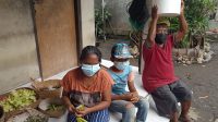 KESEHARIAN pasutri tunanetra, I Wayan Warka dan Ni Made Tangen, bersama anaknya, I Wayan Widiasa, di Banjar Saba, Desa Saba, Blahbatuh. Foto: adi KESEHARIAN pasutri tunanetra, I Wayan Warka dan Ni Made Tangen, bersama anaknya, I Wayan Widiasa, di Banjar Saba, Desa Saba, Blahbatuh. Foto: adi