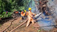 EVAKUASI pohon tumbang yang menutup jalan di Banjar Angkling, Desa Bakbakan, Gianyar. Foto: adi EVAKUASI pohon tumbang yang menutup jalan di Banjar Angkling, Desa Bakbakan, Gianyar. Foto: adi