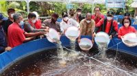 BUPATI Tabanan, I Komang Gede Sanjaya, saat menebar benih ikan lele di Pokdakan Mina Darma Bakti, Desa Riang Gede, Kecamatan Penebel, Minggu (19/9/2021). Foto: ist BUPATI Tabanan, I Komang Gede Sanjaya, saat menebar benih ikan lele di Pokdakan Mina Darma Bakti, Desa Riang Gede, Kecamatan Penebel, Minggu (19/9/2021). Foto: ist