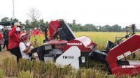 BUPATI Tabanan, I Komang Gede Sanjaya, baru-baru ini menghadiri acara panen perdana padi sertani-13, di Subak Ureg Tempek Munduk Sangkur, Banjar Pengayehan, Desa Gubug, Tabanan. Foto: ist BUPATI Tabanan, I Komang Gede Sanjaya, baru-baru ini menghadiri acara panen perdana padi sertani-13, di Subak Ureg Tempek Munduk Sangkur, Banjar Pengayehan, Desa Gubug, Tabanan. Foto: ist