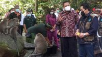 MENTERI BUMN ERICK THOHIR