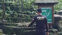 MONKEY FOREST