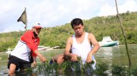 RUMPUT LAUT