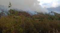 KAWASAN Taman Wisata Alam (TWA) Gunung Batur Bukit Payang, Kintamani, kembali dilanda kebakaran, Jumat (22/10/2021). Foto: ist KAWASAN Taman Wisata Alam (TWA) Gunung Batur Bukit Payang, Kintamani, kembali dilanda kebakaran, Jumat (22/10/2021). Foto: ist