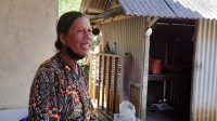 MERTUA