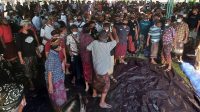 PARUMAN warga krama Desa Adat Jro Kuta Pejeng. Foto: adi PARUMAN warga krama Desa Adat Jro Kuta Pejeng. Foto: adi