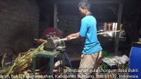 PEMBUATAN gula sorgum di Desa Bukti, Buleleng PEMBUATAN gula sorgum di Desa Bukti, Buleleng