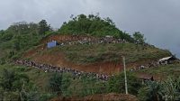 IMG-20211114-WA0143