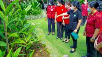 IMG-20211123-WA0139