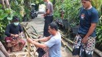 KELUARGA korban sedang mempersiapkan sarana “nyulubin”. Foto: adi KELUARGA korban sedang mempersiapkan sarana “nyulubin”. Foto: adi