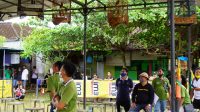 lomba burung (3)