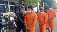 pelaku pencuri sapi (4)