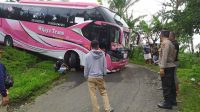 BUS NYASAR