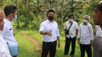 Ipat pantau jalan