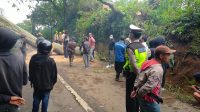 PERSONEL Polsek Kintamani, BPBD Bangli, dan TNI melakukan pembersihan pohon tumbang yang sempat menghambat jalur Kintamani-Singaraja. Foto: ist PERSONEL Polsek Kintamani, BPBD Bangli, dan TNI melakukan pembersihan pohon tumbang yang sempat menghambat jalur Kintamani-Singaraja. Foto: ist