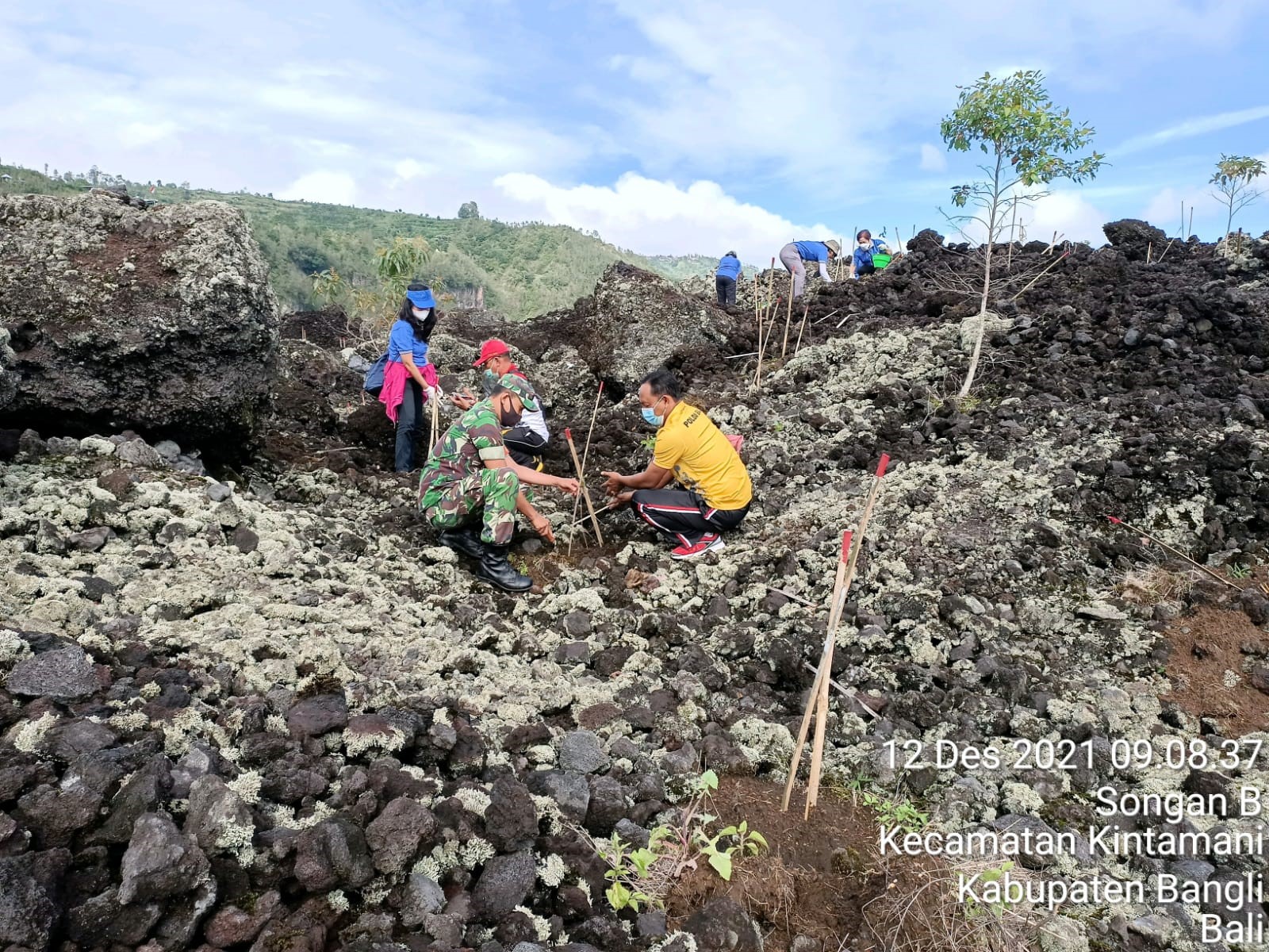 YAYASAN Bali Hijau Lestari melaksanakan penanaman 1.000 pohon di Bukit Payang, Desa Batur, Kintamani, Minggu (12/12/2021). Foto: ist