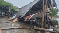 KONDISI tempat penambatan perahu Kelompok Nelayan Mekar Sari Mumbul yang diterjang banjir rob. Foto: dok KONDISI tempat penambatan perahu Kelompok Nelayan Mekar Sari Mumbul yang diterjang banjir rob. Foto: dok