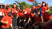 KETUA Dewan Pimpinan Pusat Partai Demokrasi Indonesia Perjuangan, Yasonna Laoly, bersama ratusan kader PDIP Kota Denpasar, menanam 500 bibit pohon cemara udang di Pantai Bukit Muntig Siokan, Mertasari, Sanur Kauh, Denpasar Selatan, Minggu (23/1/2022). Foto: tra KETUA Dewan Pimpinan Pusat Partai Demokrasi Indonesia Perjuangan, Yasonna Laoly, bersama ratusan kader PDIP Kota Denpasar, menanam 500 bibit pohon cemara udang di Pantai Bukit Muntig Siokan, Mertasari, Sanur Kauh, Denpasar Selatan, Minggu (23/1/2022). Foto: tra