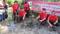 DPC PDI KLUNGKUNG