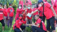 KETUA DPC PDIP Kota Mataram, Made Slamet; bersama Sekretaris DPC, dan Fraksi serta kader PDIP Kota Mataram menanam pohon di daerah aliran sungai Sungai Jangkuk, Minggu (23/1/2022). Foto: rul KETUA DPC PDIP Kota Mataram, Made Slamet; bersama Sekretaris DPC, dan Fraksi serta kader PDIP Kota Mataram menanam pohon di daerah aliran sungai Sungai Jangkuk, Minggu (23/1/2022). Foto: rul