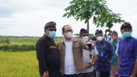 Goverment Project Bank Mandiri saat peninjauan lapangan bersama Bupati I Nengah Tamba