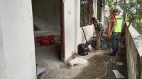 PASANG KERAMIK
