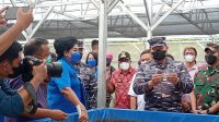 KEPALA Staf TNI Angkatan Laut (KSAL), Laksamana TNI Yudo Margono, meninjau lokasi budidaya udang vaname di Desa Kalibukbuk, Buleleng. Foto: rik KEPALA Staf TNI Angkatan Laut (KSAL), Laksamana TNI Yudo Margono, meninjau lokasi budidaya udang vaname di Desa Kalibukbuk, Buleleng. Foto: rik