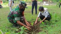 TANAM POHON