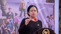 puan6