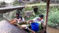 PEMBUAT TAUGE