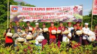 KAPAS KARANGASEM