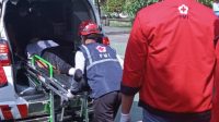 SIMULASI GEMPA