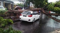 02864 Badung Pohon Tumbang Timpah Mobil Putih