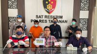 Rilis Pencurian Sapi - ist