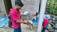 Vaksinasi rabies
