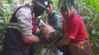 KORBAN KECELAKAAN