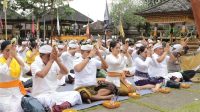 Pemkab Jembrana penganyar