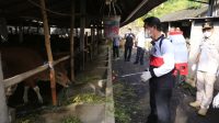 Secara simbolis, Bupati Suwirta melakukan penyemprotan