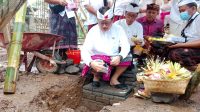 WAKIL BUPATI GIANYAR