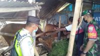 DINAS PERTANIAN KLUNGKUNG