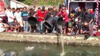 PENEBARAN IKAN