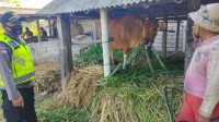 PERSONEL POLRES KLUNGKUNG