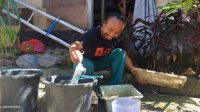 PETERNAK tikus, Gusti Gede Jelantik, di lingkungan Subagan, Jelantik, Karangasem. Tikus yang diternak jenis tikus mencit dan tikus pengerat, yang sama-sama berwarna putih dan mata merah. Foto: ist PETERNAK tikus, Gusti Gede Jelantik, di lingkungan Subagan, Jelantik, Karangasem. Tikus yang diternak jenis tikus mencit dan tikus pengerat, yang sama-sama berwarna putih dan mata merah. Foto: ist