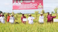 BUPATI TABANAN-3