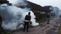 FOGGING PANJER