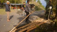 BARANG BUKTI KAYU