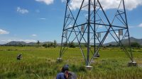 BPN PLN NTB