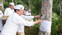BUPATI Karangasem, I Gede Dana; didampingi Wakil Bupati I Wayan Artha Dipa, saat perayaan Tumpek Wariga pada Saniscara Kliwon Wuku Wariga, Sabtu (10/12/2022). Foto: ist BUPATI Karangasem, I Gede Dana; didampingi Wakil Bupati I Wayan Artha Dipa, saat perayaan Tumpek Wariga pada Saniscara Kliwon Wuku Wariga, Sabtu (10/12/2022). Foto: ist