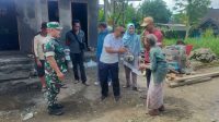 Rumah Janda Veteran - ist