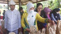 TP PKK BALANGAN